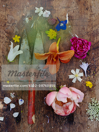 Garden tool and flowers on wooden background, still life