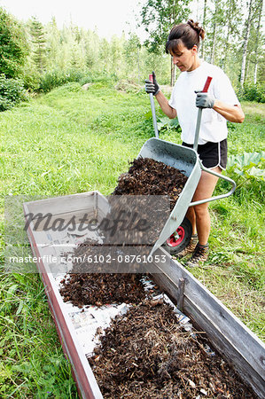 Woman putting compost into wooden box, Norrbotten, Sweden