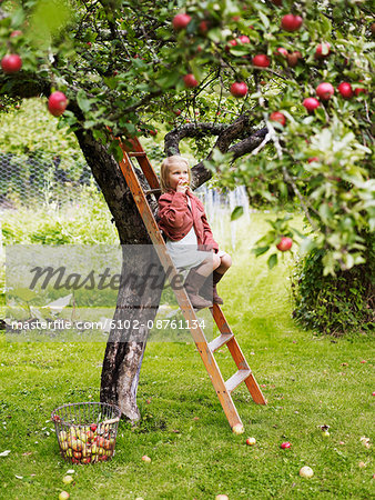 Girl on ladder eating apple, Varmdo, Uppland, Sweden