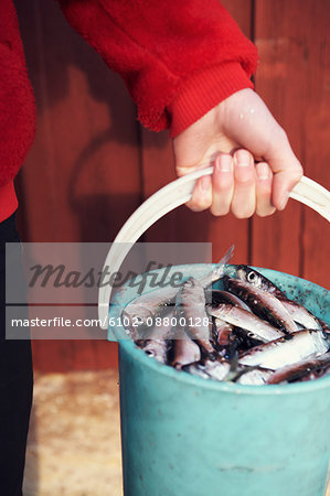 Person holding bucket of herrings