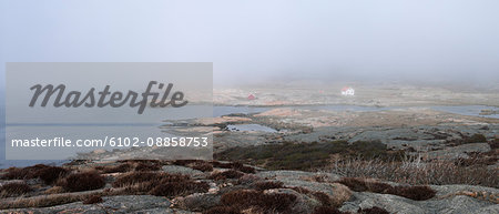 Rocky coast at foggy weather