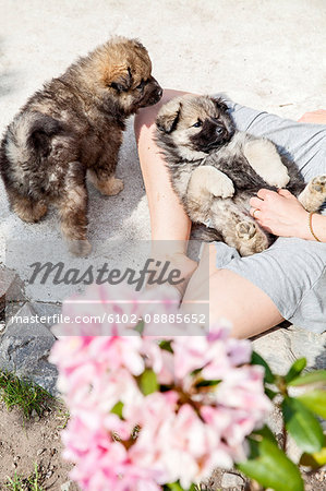 Woman playing with puppies