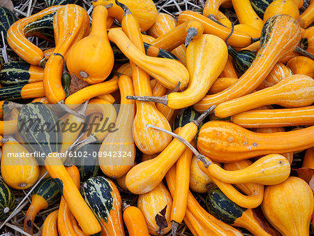 Pumpkins