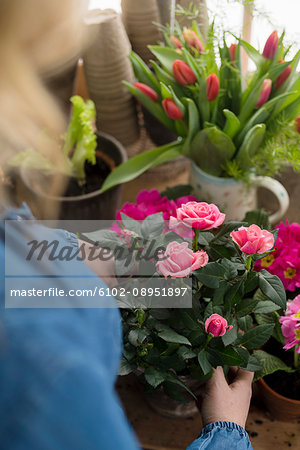 Woman planting flowers in winter garden