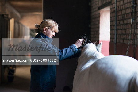 Woman with horse in stable