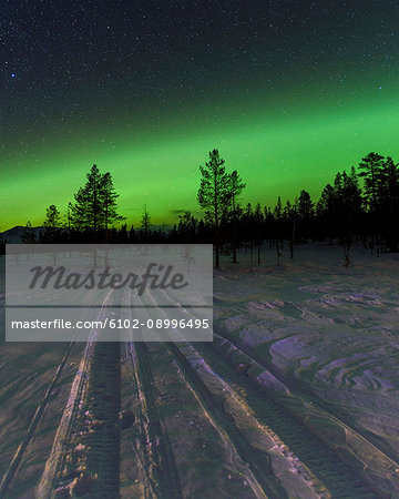 Winter landscape with aurora borealis