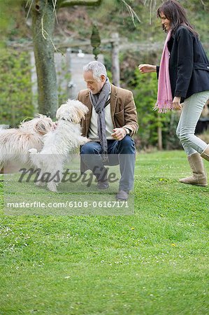 Couple playing with their pets in a garden