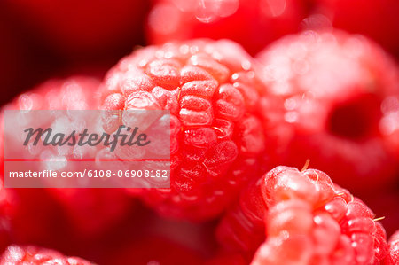 Close-up of raspberries