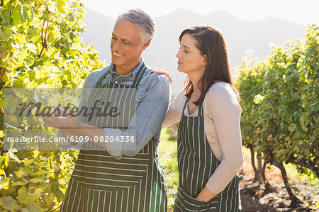 Smiling vintner showing grapes to his woman
