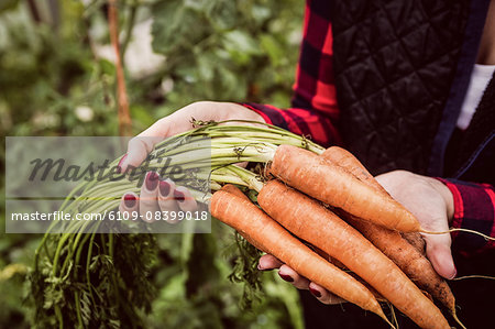 Woman holding and showing carrots