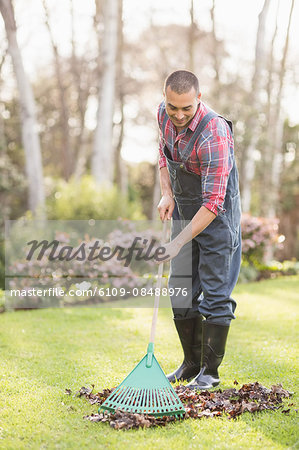 Gardener man raking the leaves in garden