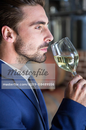 Well dressed man examining glass of wine at the winefarm
