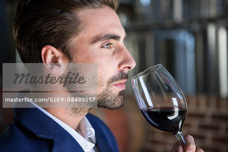 Well dressed man examining glass of wine at the winefarm Well dressed man examining glass of wine at the winefarm