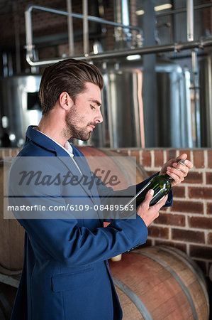 Well dressed man examining bottle of wine at winefarm