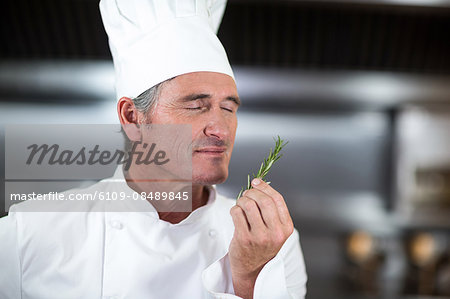Chef holding fresh rosemary sprig in a commercial kitchen