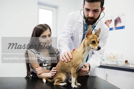 Vet examining dog with its owner