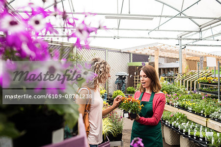 Female florist talking to woman about plants in garden centre