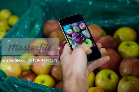 Hand taking a photo of apples in display in organic section at supermarket