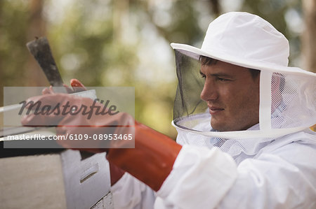 Close-up of male beekeeper opening honeycomb at apiary