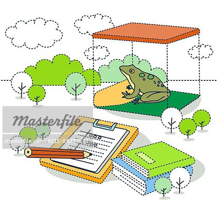 Illustration of frog for scientific experiment with books