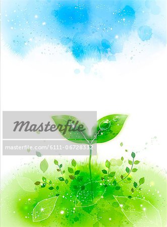 Illustration of plant Illustration of plant
