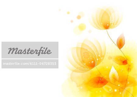 Illustration of abstract yellow lotus Illustration of abstract yellow lotus