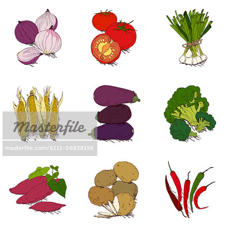 Set of various vegetable related icons