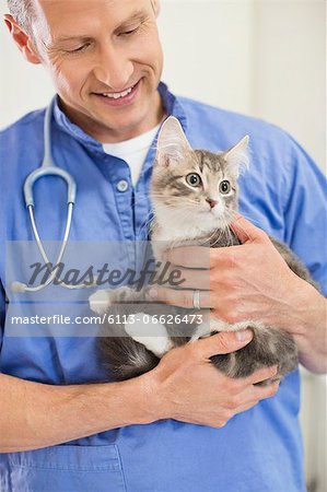 Veterinarian holding cat in vet's surgery