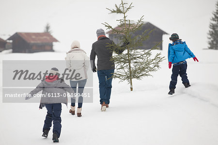 Family carrying fresh Christmas tree in snowy field