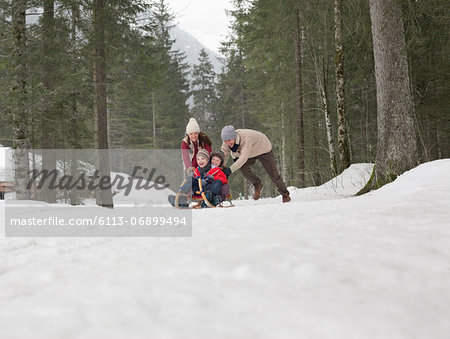 Family sledding in snowy woods