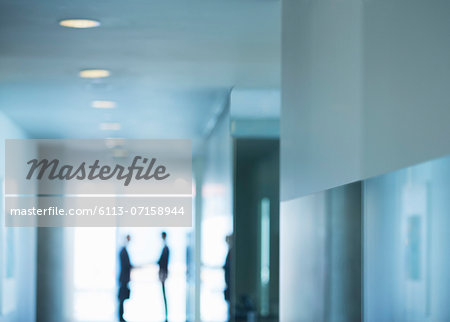 Silhouette of businessmen shaking hands in office