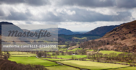 Trees and pastures in rural landscape