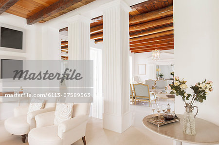 Luxury living room with pillars