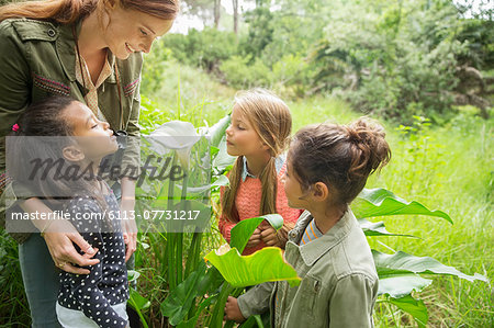 Students and teacher examining plants outdoors
