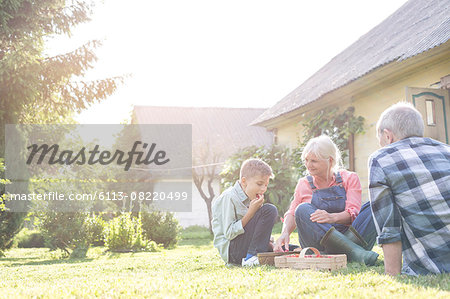 Grandparents and grandson eating harvested strawberries in sunny yard