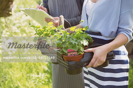 Plant nursery workers with clipboard and potted plants