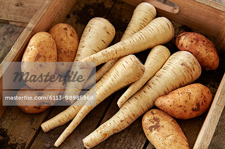 Still life fresh, organic, healthy, rustic, dirty parsnips and potatoes in wood crate
