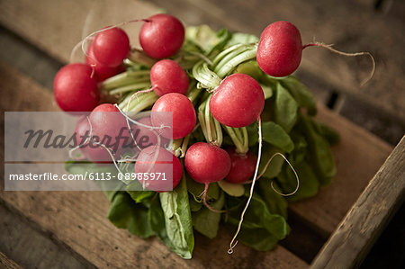 Still life close up fresh, organic, healthy, red radishes in rustic wood crate
