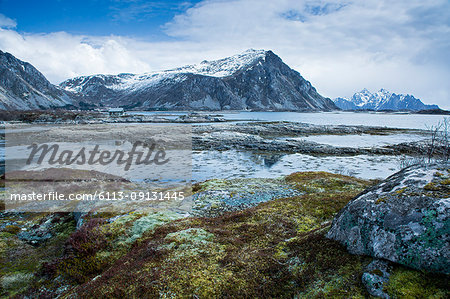 Moss covered rocks among remote fjord and mountains, Langraget, Lofoten, Norway