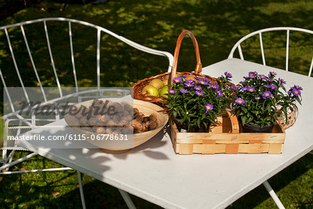 Apples, walnuts and flowers placed on table in the garden, Munich, Bavaria, Germany