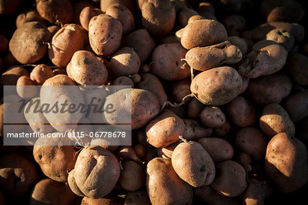 Fresh Potatoes, Croatia, Slavonia, Europe