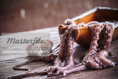 Preparing Octopus Salad