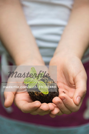 Little girl gardening, holding seedling in hands