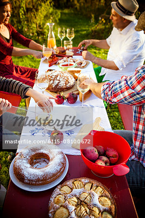 Family having a picnic in the garden, Munich, Bavaria, Germany Family having a picnic in the garden, Munich, Bavaria, Germany