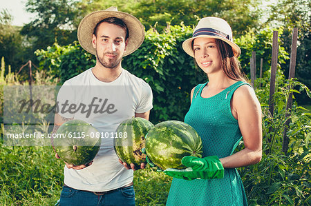 Young couple harvesting watermelons