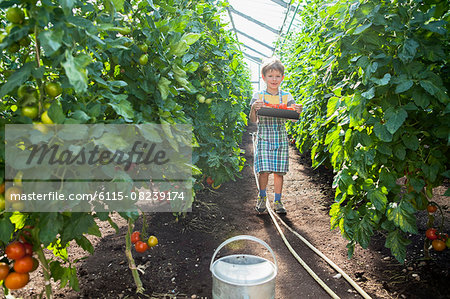 Boy in greenhouse among tomato plants