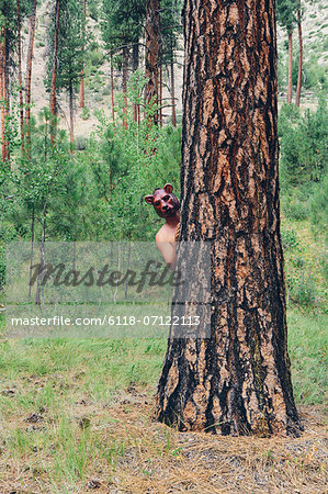 A Man Standing Behind A Ponderosa Pine Tree, Peering Around The Trunk Wearing A Bear Mask.