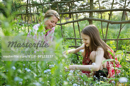 A Mother And Daughter Together In A Plant Enclosure With A Homemade Fence. Picking Flowers And Plants. Green Leafy Foliage.