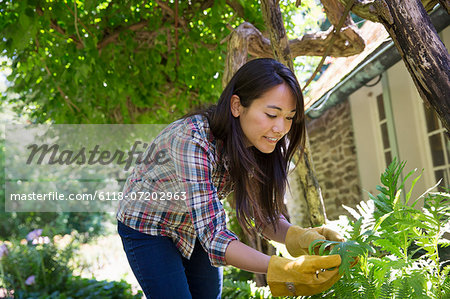A farm growing and selling organic vegetables and fruit. A young woman working.