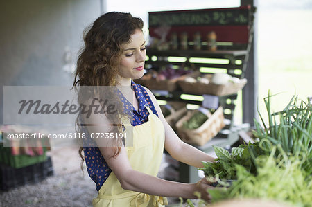 An organic farm stand. A woman sorting vegetables.